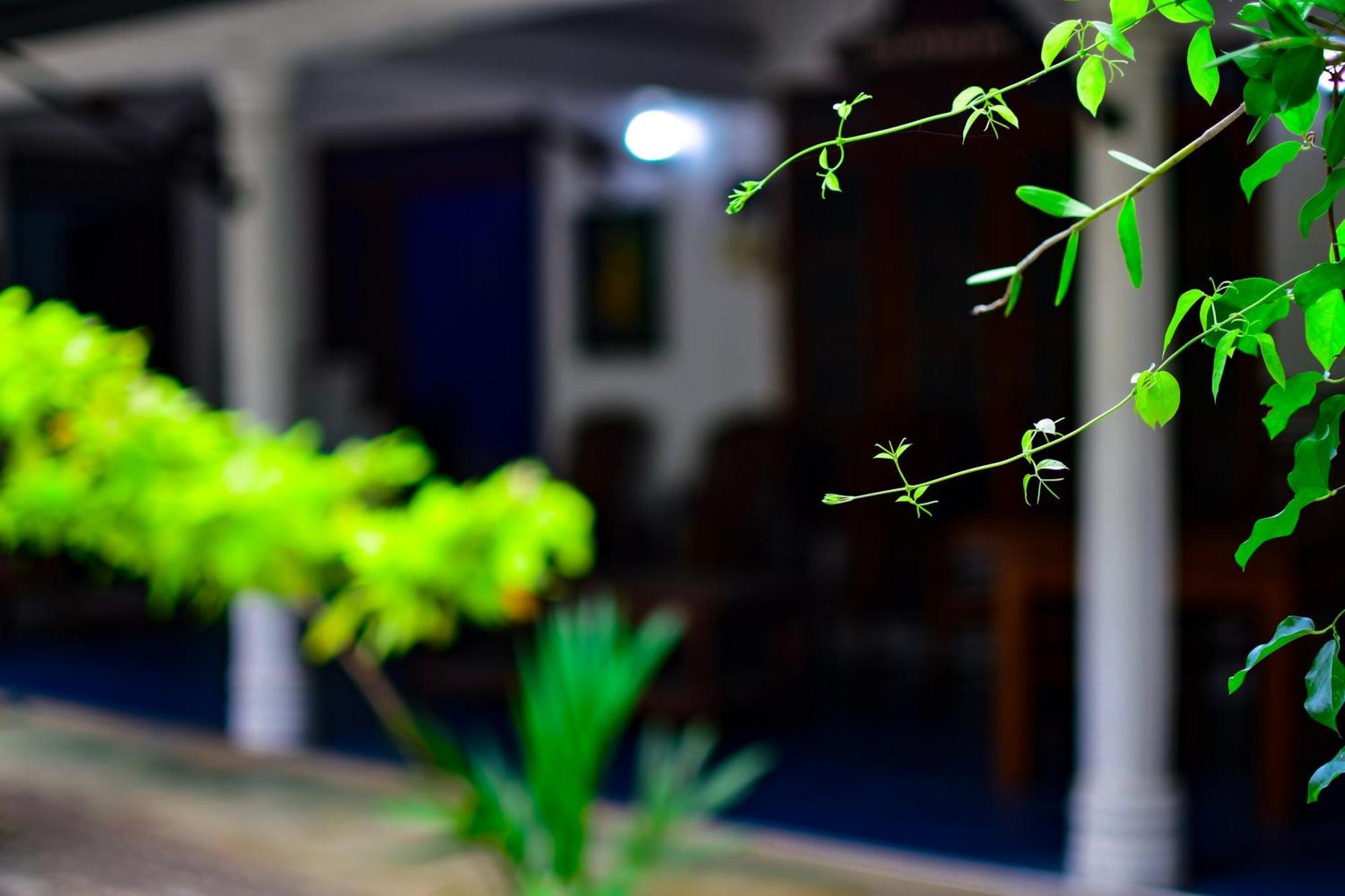 Tourist Holiday Inn Дамбула Екстериор снимка